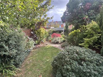 Picture 21